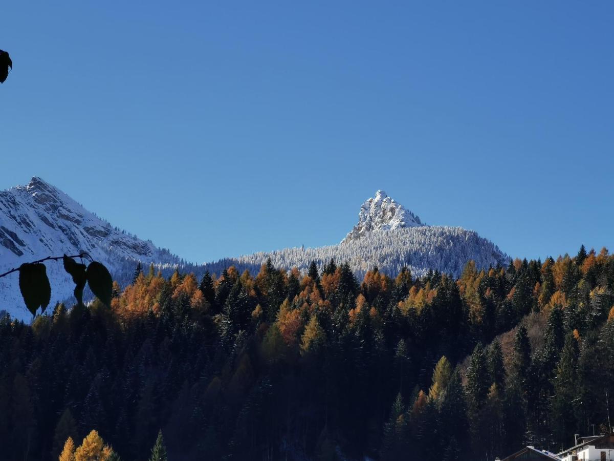 Dolomiti House Hotel Cibiana Eksteriør billede